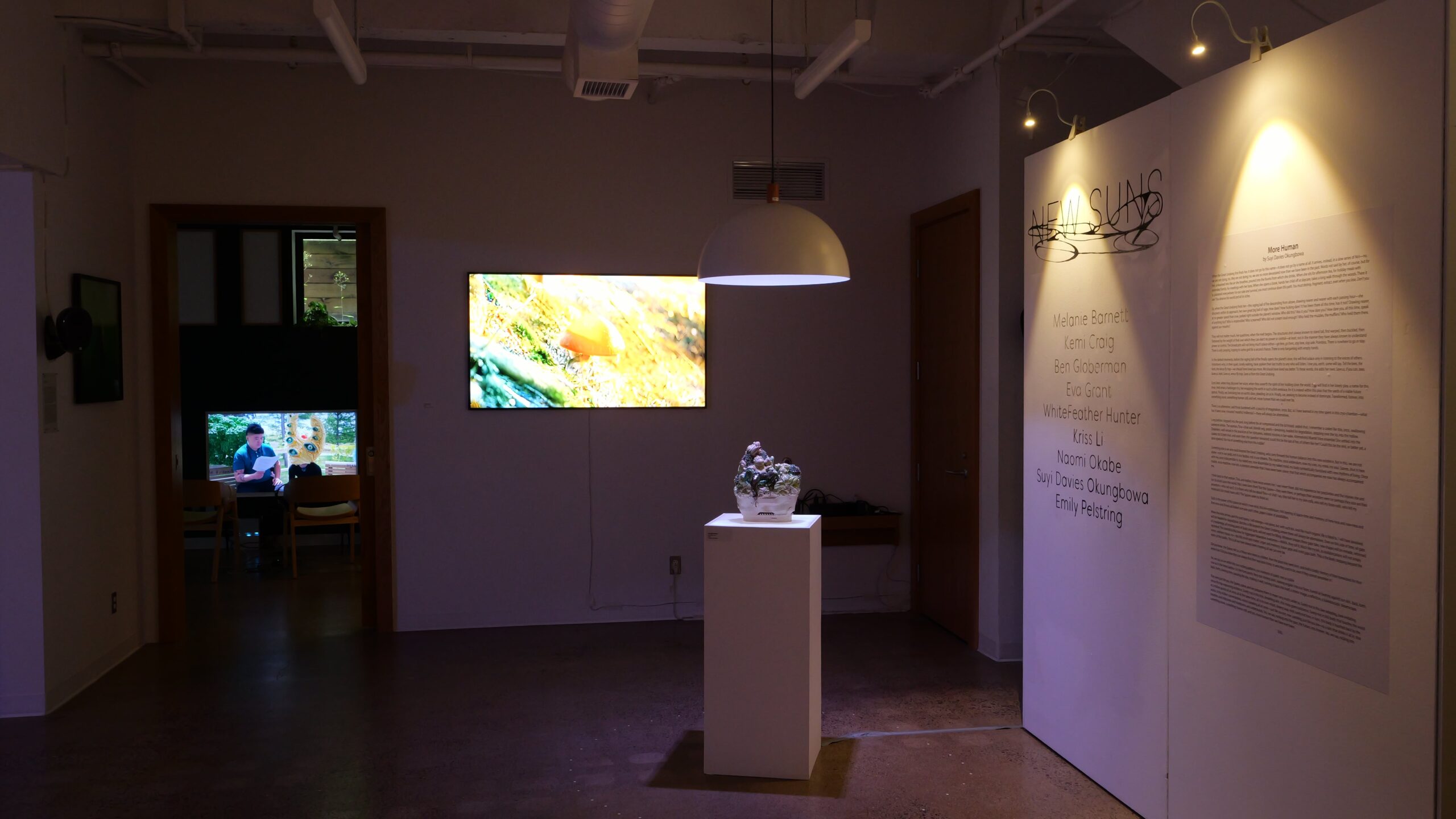 New Suns installation view with projected landscape